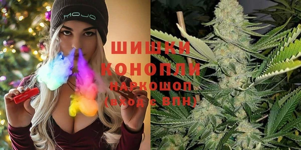 шишки Кодинск