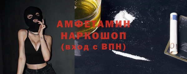шишки Кодинск