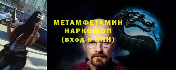 шишки Кодинск