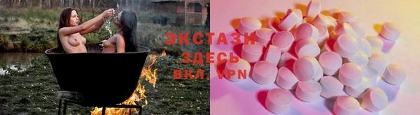 шишки Кодинск