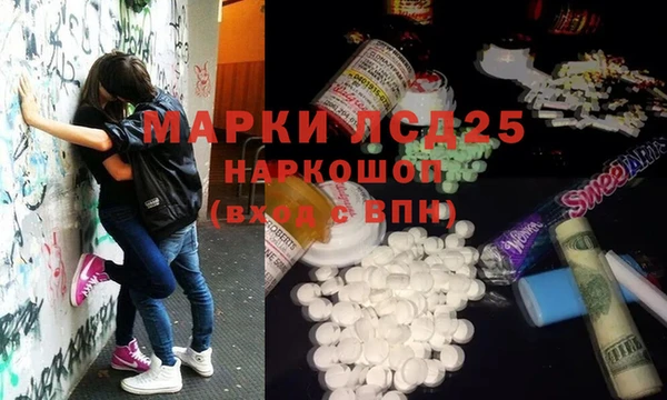 шишки Кодинск
