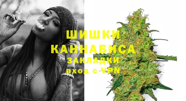 шишки Кодинск