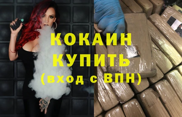 шишки Кодинск