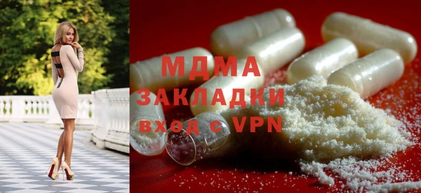 шишки Кодинск