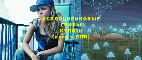 шишки Кодинск