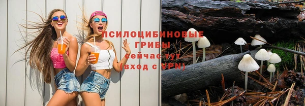 шишки Кодинск