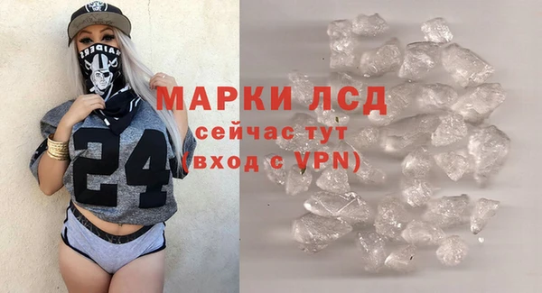шишки Кодинск