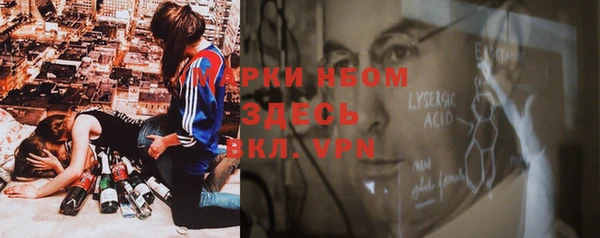шишки Кодинск