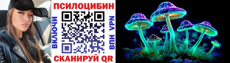 Купить где  Сатка  Галлюциногенные грибы Psilocybe 